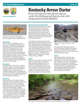 Download the Kentucky Arrow Darter Fact Sheet