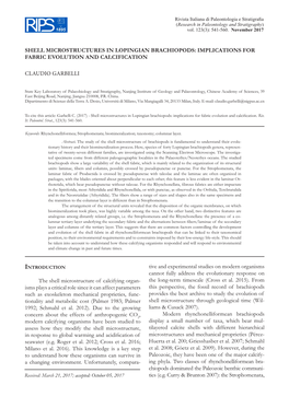 Shell Microstructures in Lopingian Brachiopods: Implications for Fabric Evolution and Calcification