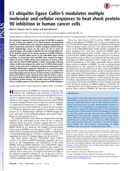 E3 Ubiquitin Ligase Cullin-5 Modulates Multiple Molecular and Cellular Responses to Heat Shock Protein 90 Inhibition in Human Cancer Cells