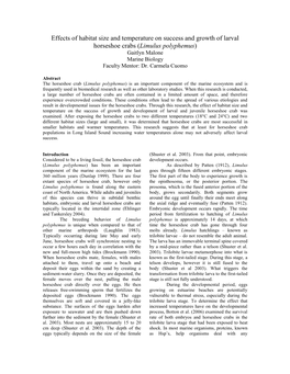 Effects of Habitat Size and Temperature on Success and Growth of Larval Horseshoe Crabs (Limulus Polyphemus) Gaitlyn Malone Marine Biology Faculty Mentor: Dr