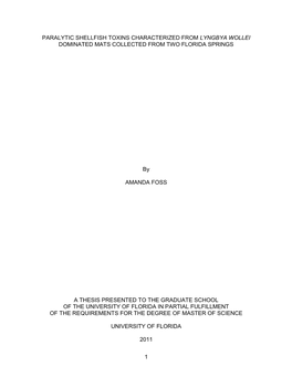 University of Florida Thesis Or Dissertation Formatting