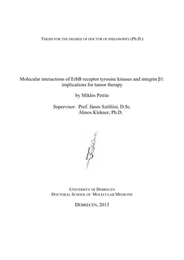 Molecular Interactions of Erbb Receptor Tyrosine Kinases and Integrin Β1: Implications for Tumor Therapy