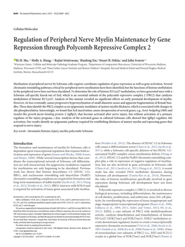 Regulation of Peripheral Nerve Myelin Maintenance by Gene Repression Through Polycomb Repressive Complex 2