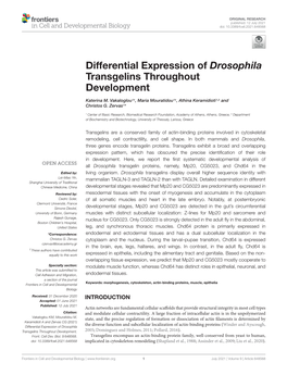 Differential Expression of Drosophila Transgelins Throughout Development