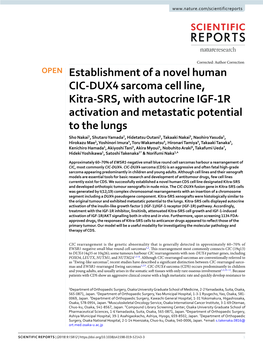 Establishment of a Novel Human CIC-DUX4 Sarcoma Cell Line, Kitra