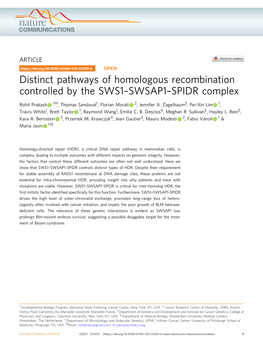 Distinct Pathways of Homologous Recombination Controlled by the SWS1–SWSAP1–SPIDR Complex ✉ Rohit Prakash 1 , Thomas Sandoval1, Florian Morati 2, Jennifer A