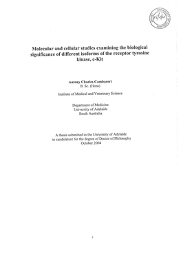 Molecular and Cellular Studies Examining the Biological Significance of Different Isoforms of the Receptor Tyrosine Kinase' C-Kit