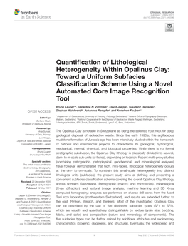 Quantification of Lithological Heterogeneity Within Opalinus Clay