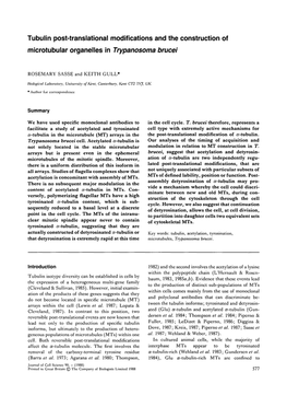 Tubulin Post-Translational Modifications and the Construction of Microtubular Organelles in Trypanosoma Brucei