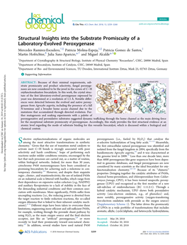 Structural Insights Into the Substrate Promiscuity of a Laboratory-Evolved Peroxygenase