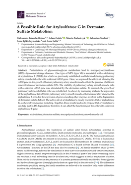 A Possible Role for Arylsulfatase G in Dermatan Sulfate Metabolism