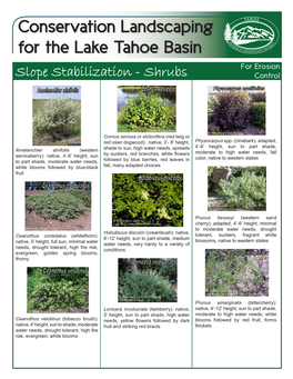 Conservation Landscaping for the Lake Tahoe Basin for Erosion Slope Stabilization - Shrubs Control