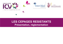 LES CEPAGES RESISTANTS Présentation, Réglementation Introduction