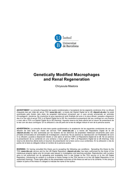 Genetically Modified Macrophages and Renal Regeneration