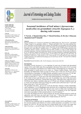 Seasonal Incidence of Leaf Miner (Aproaerema Modicella) On