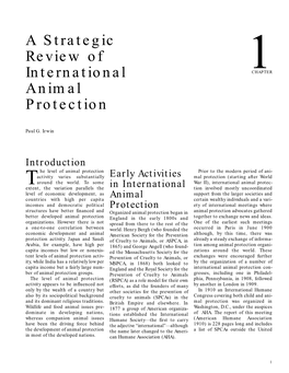 A Strategic Review of International Animal Protection