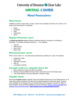 Plural Possessives