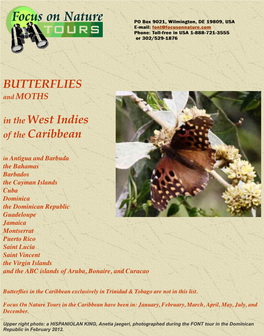 BUTTERFLIES in Thewest Indies of the Caribbean