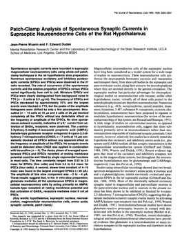 Patch-Clamp Analysis of Spontaneous Synaptic Currents in Supraoptic Neuroendocrine Cells of the Rat Hypothalamus