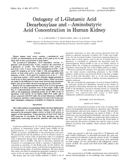 Ontogeny of L-Glutamic Acid Decarboxylase and 7 -Aminobutyric Acid Concentration in Human Kidney