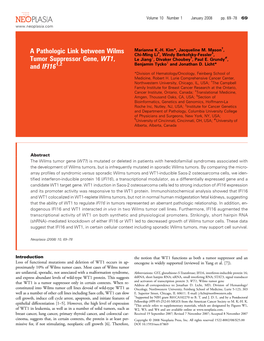 A Pathologic Link Between Wilms Tumor Suppressor Gene, WT1, And