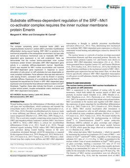 Substrate Stiffness-Dependent Regulation of the SRF−Mkl1 Co-Activator Complex Requires the Inner Nuclear Membrane Protein Emerin Margaret K