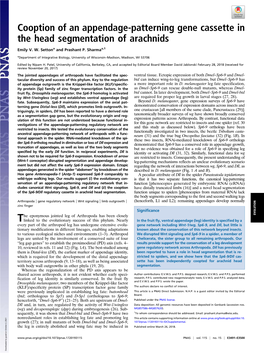 Cooption of an Appendage-Patterning Gene Cassette in the Head