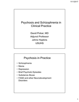 Psychosis and Schizophrenia in Clinical Practice Psychosis in Practice