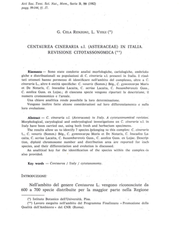 G. CELA RENZONI, L. VIEGI C) CENTAUREA CINERARIA Sl