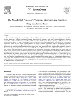 The Neanderthal ''Chignon'': Variation, Integration, and Homology