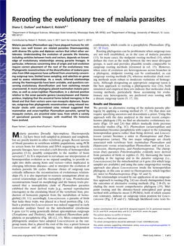 Rerooting the Evolutionary Tree of Malaria Parasites