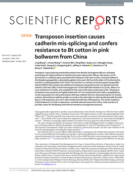 Transposon Insertion Causes Cadherin Mis-Splicing and Confers Resistance