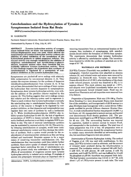 Catecholamines and the Hydroxylation of Tyrosine in Synaptosomes Isolated from Rat Brain (DOPA/Tyramine/Dopamine/Norepinephrine/Octopamine) M