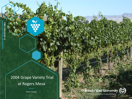 2004 Grape Variety Trial at Rogers Mesa