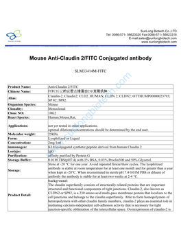 Mouse Anti-Claudin 2/FITC Conjugated Antibody