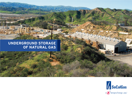 Underground Storage of Natural Gas Storing Natural Gas the Same Way Nature Always Has… Deep Underground