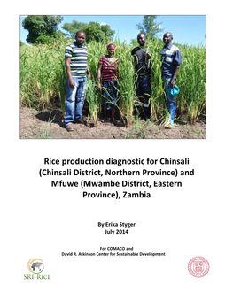 Rice Production Diagnostic for Chinsali and Mfuwe, Zambia