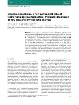 (Coleoptera: Ptiliidae): Description of New Taxa and Phylogenetic Analysis