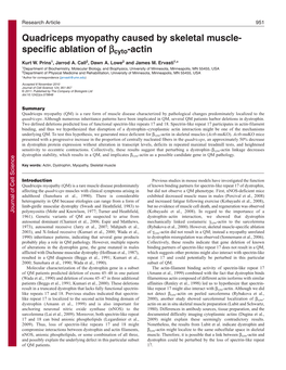 Quadriceps Myopathy Caused by Skeletal Muscle- Specific Ablation of Cyto-Actin