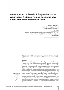 A New Species of Pseudoniphargus (Crustacea, Amphipoda, Melitidae) from an Anchialine Cave on the French Mediterranean Coast