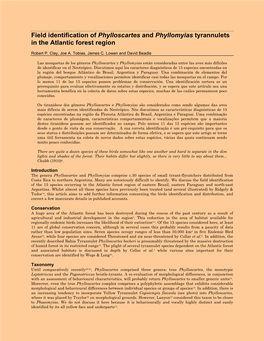 Field Identification of Phylloscartes and Phyllomyias Tyrannulets in the Atlantic Forest Region