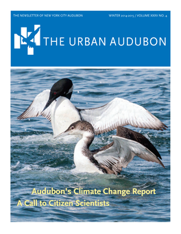 The Urban Audubon