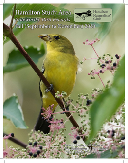 Noteworthy Bird Records Fall (September to November) 2020