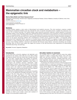 Mammalian Circadian Clock and Metabolism – the Epigenetic Link