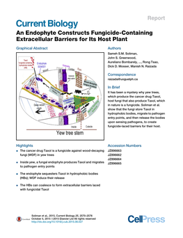 An Endophyte Constructs Fungicide-Containing Extracellular Barriers for Its Host Plant