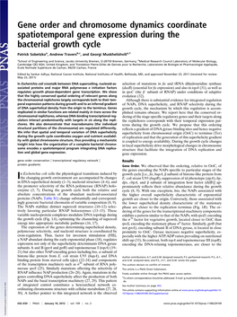 Gene Order and Chromosome Dynamics Coordinate Spatiotemporal Gene Expression During the Bacterial Growth Cycle