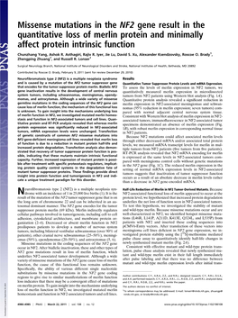 Missense Mutations in the NF2 Gene Result in the Quantitative Loss of Merlin Protein and Minimally Affect Protein Intrinsic Function