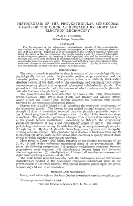 Histogenesis of the Proventricular Submucosal Gland of the Chick As Revealed by Light and Electron Microscopy Dale S