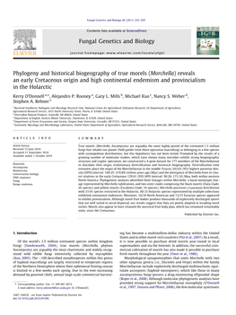 Phylogeny and Historical Biogeography of True Morels