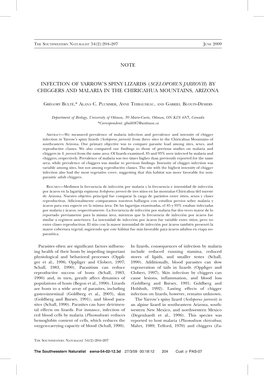 Sceloporus Jarrovii)By Chiggers and Malaria in the Chiricahua Mountains, Arizona